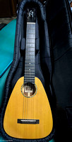 2025-03-17_DHo Romero Guitalele